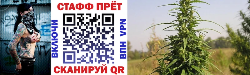 Купить наркотики цена Лаишево KRAKEN сайт  МЕФ  Конопля 