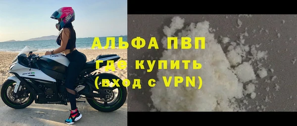 стаф Заводоуковск