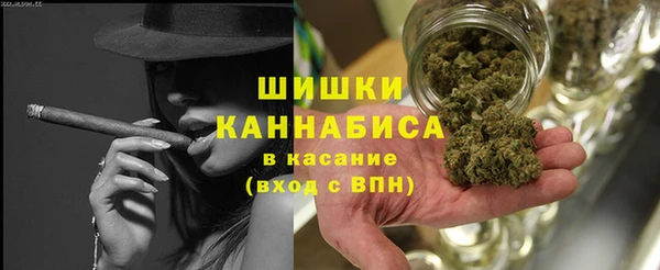 стаф Заводоуковск