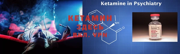 стаф Заводоуковск