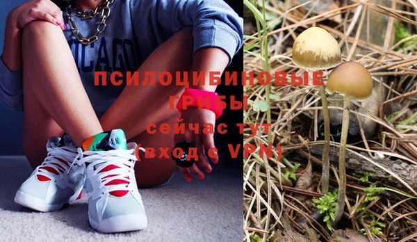 стаф Заводоуковск