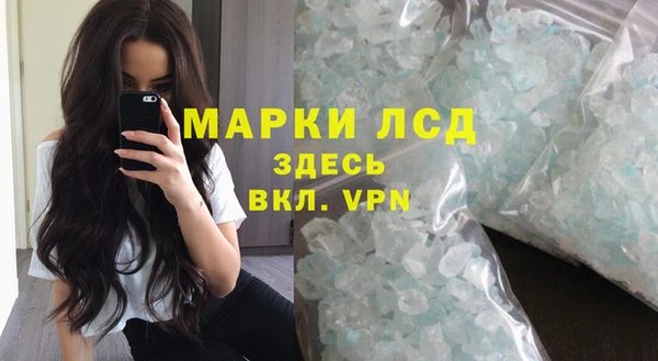 стаф Заводоуковск
